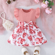 Little Princess Dress